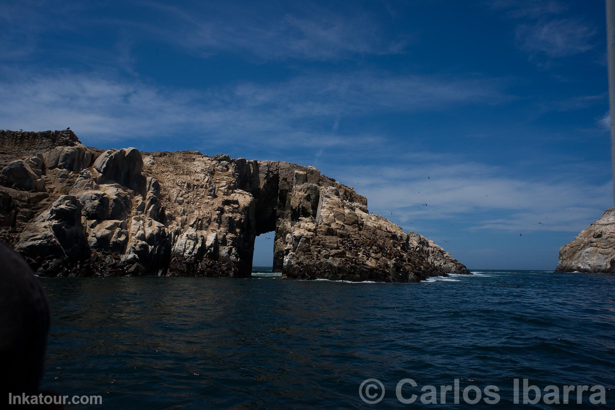 Palomino Islands, Callao