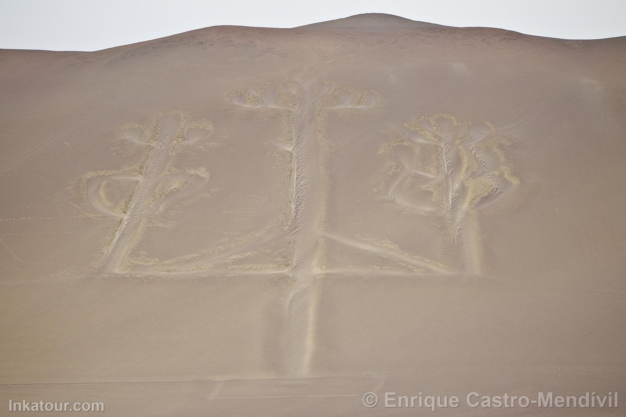 Paracas Candelabra