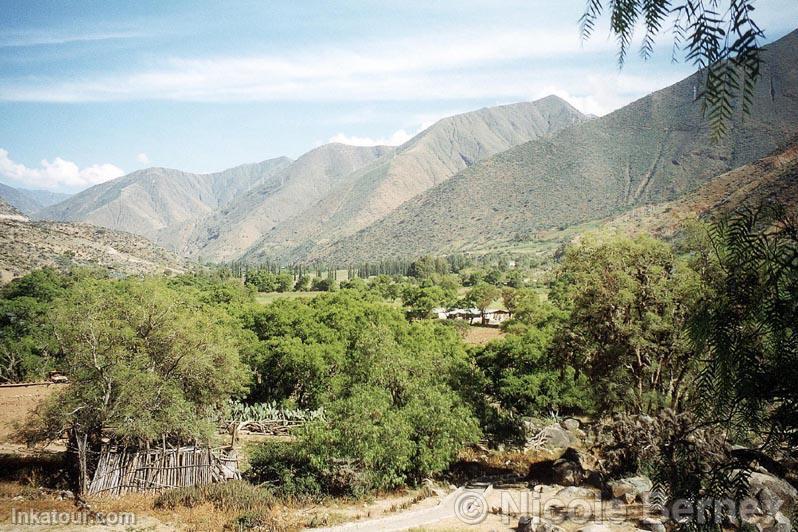 Interfluvial Yunga. Kotosh-Hunuco