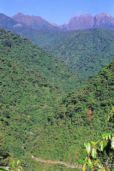 Cuzco-Manu Road
