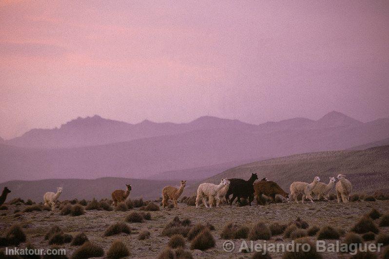 Salinas and Aguada Blanca National Reserve