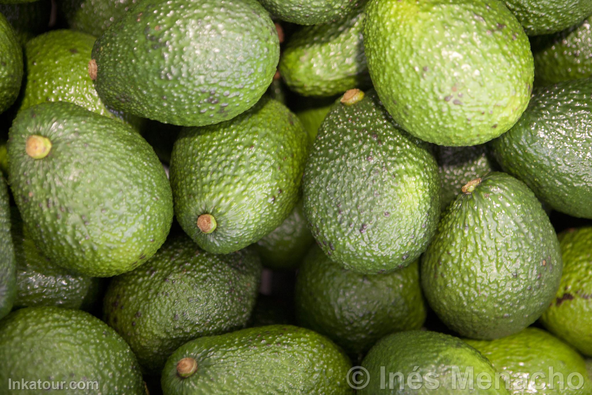 Hass Avocado