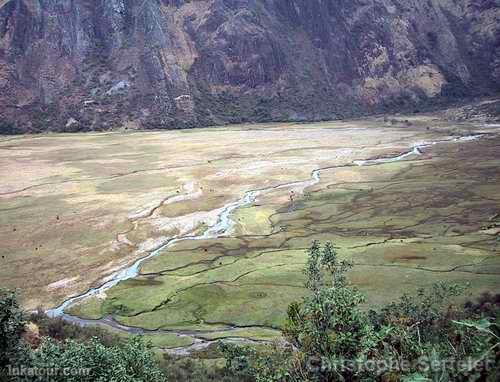 White Cordillera