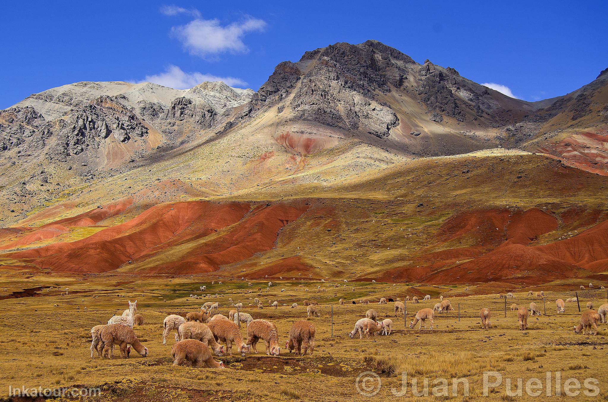 Pucapampa Landscape