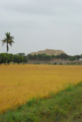 Valley of the Pyramids of Tcume