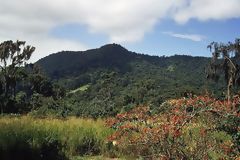 Tumbes Reserved Zone