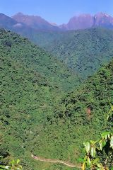 Cuzco-Manu Road