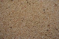 Quinoa