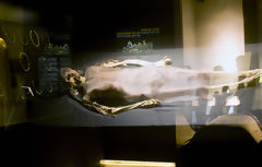 Cao Museum