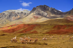 Pucapampa Landscape