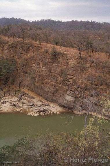 Dry forests