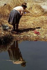 Floating island, Uros