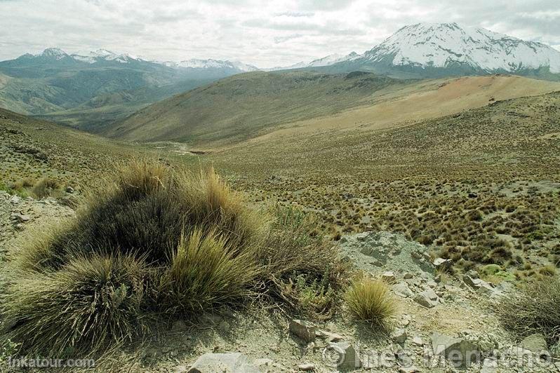 Photo of Peru