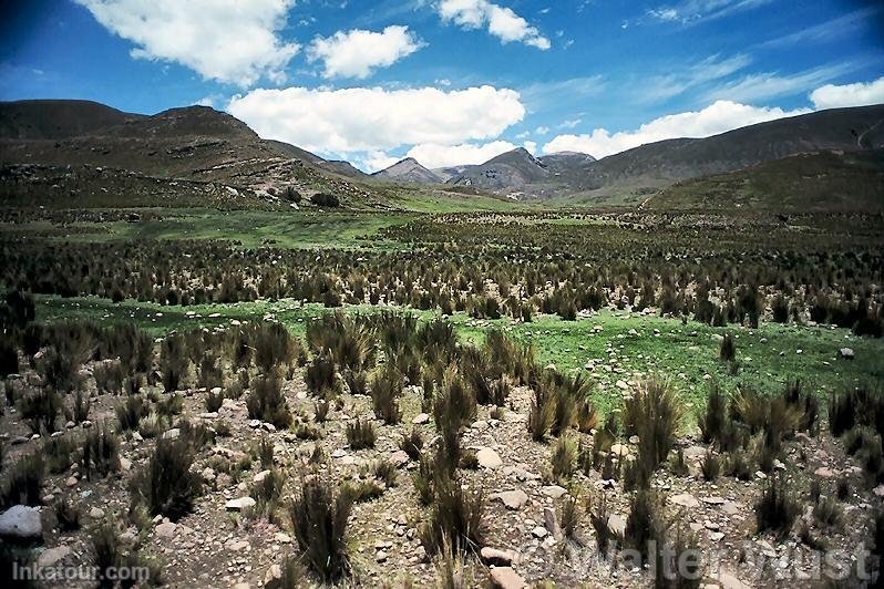 Photo of Peru