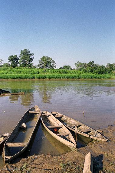 Boats in the shore of a river