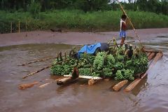 Banana transport