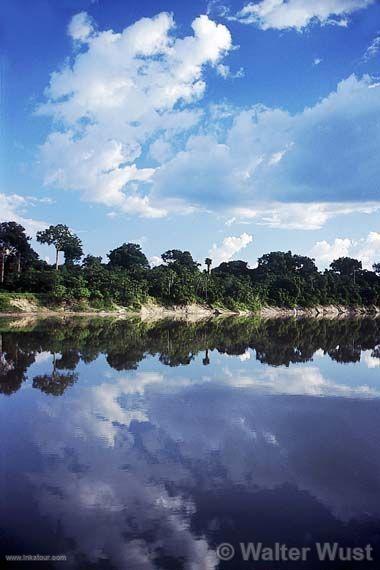 Amazonian river