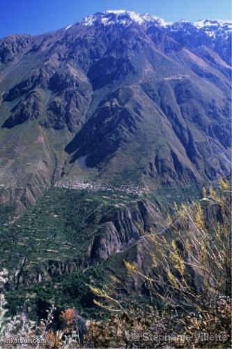 Colca