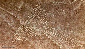 The Hummingbird, Nazca