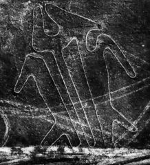 The Fish, Nazca