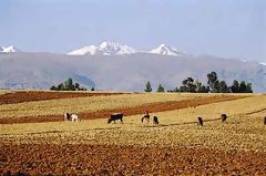 Mantaro Valley