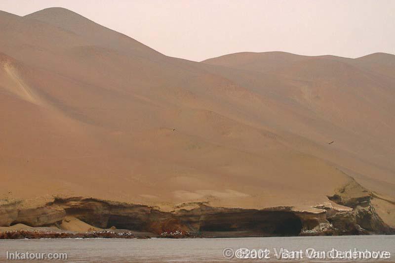 Paracas