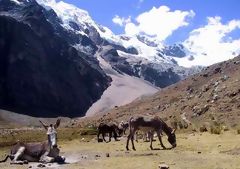 White Cordillera