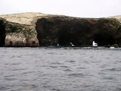 Paracas