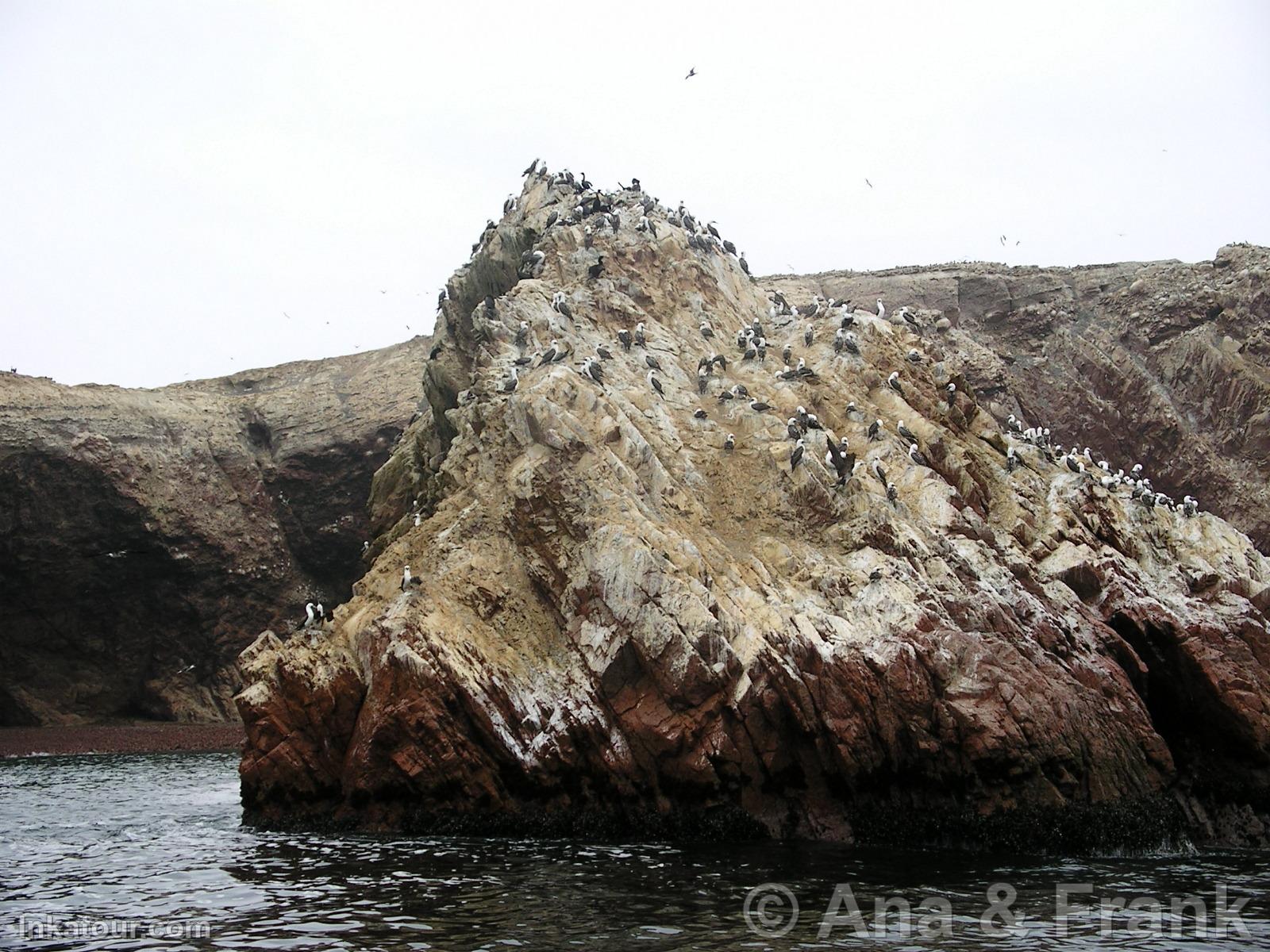 Paracas