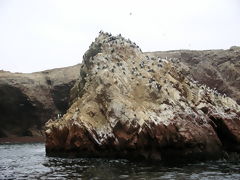 Paracas