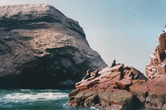 Ballestas, Paracas