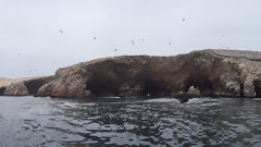 Ballestas, Paracas