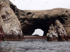 Ballestas, Paracas