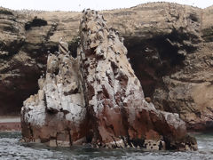 Ballestas, Paracas