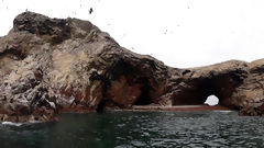 Ballestas, Paracas