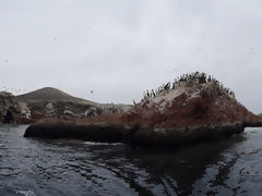 Ballestas, Paracas