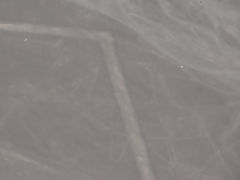 Nazca lines