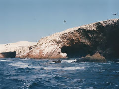 Ballestas, Paracas