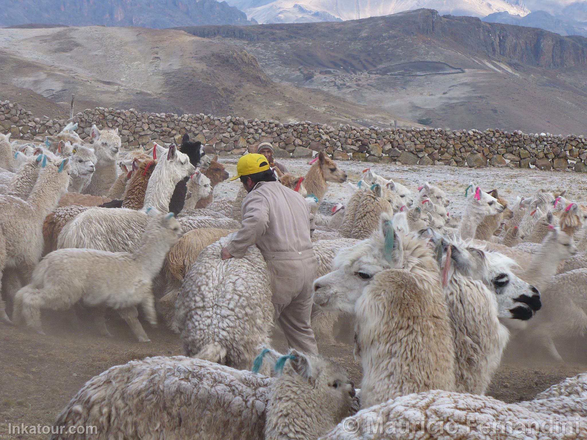 Photo of Peru