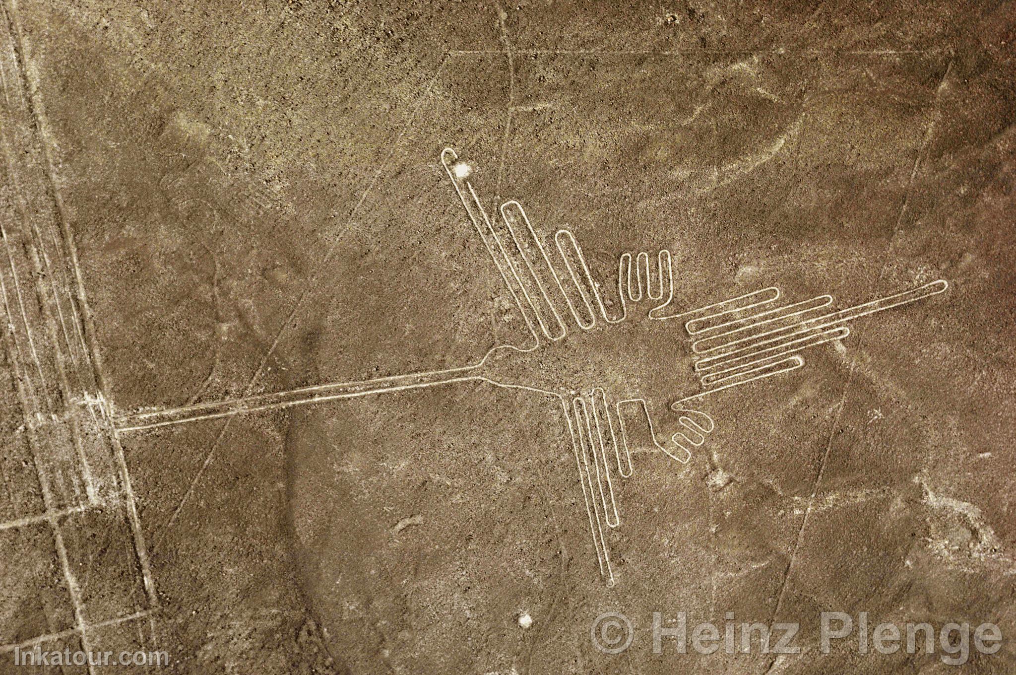 Nazca lines