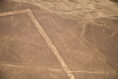 Nazca lines