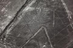 Nazca lines