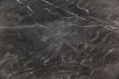 Nazca lines