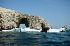 Ballestas, Paracas