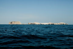 Ballestas, Paracas