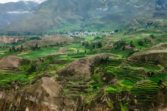 Colca Canyon