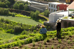 Arequipa