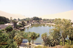 Lagoon of Huacachina